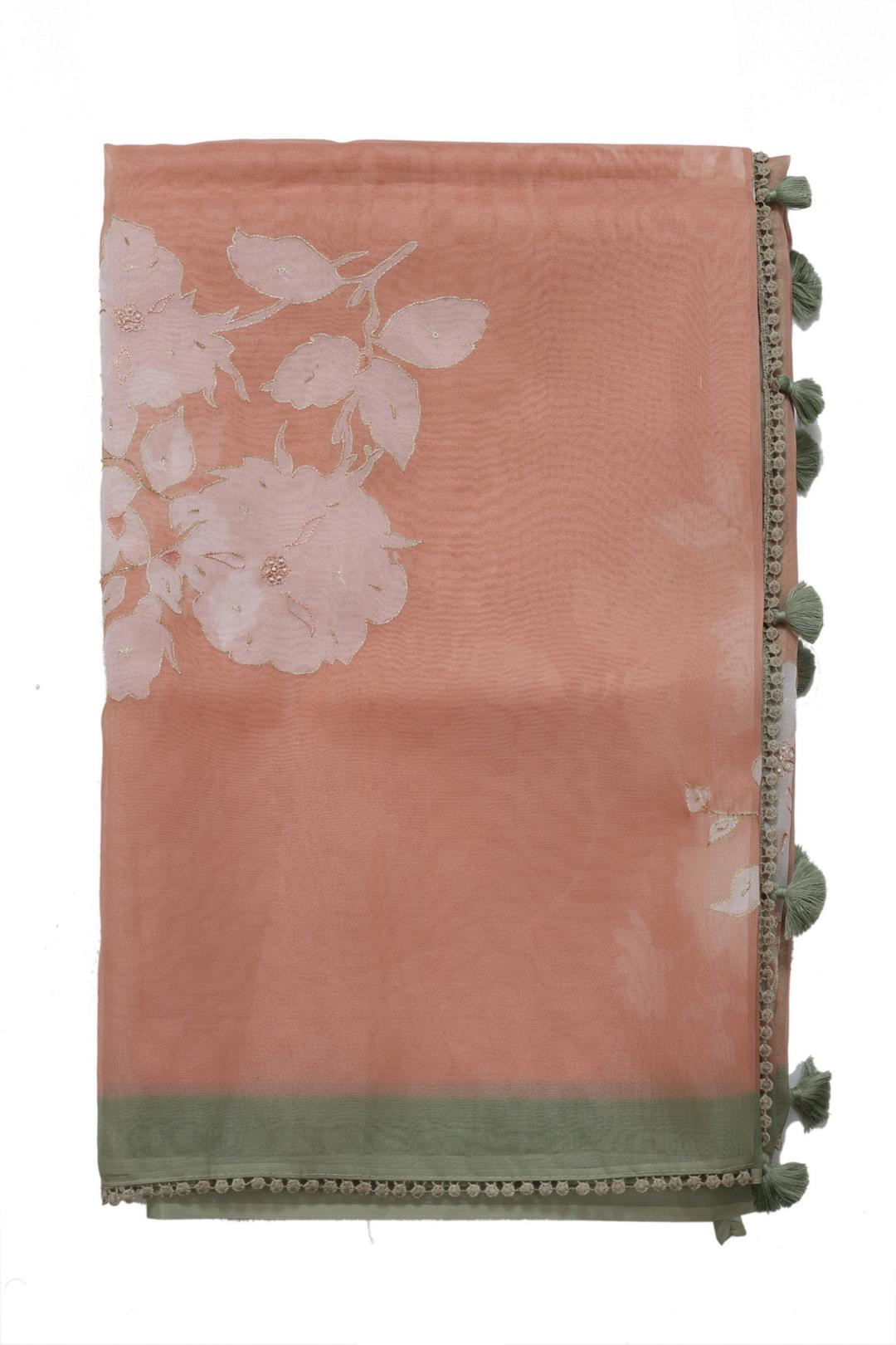 Orange Fancy Organza Saree F01021