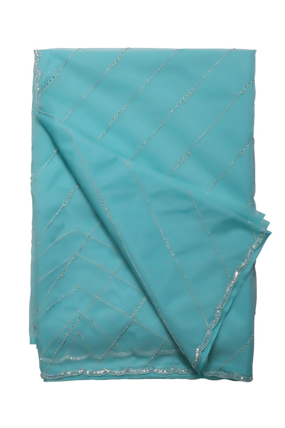 Blue Embroidered Organza Saree F00900B