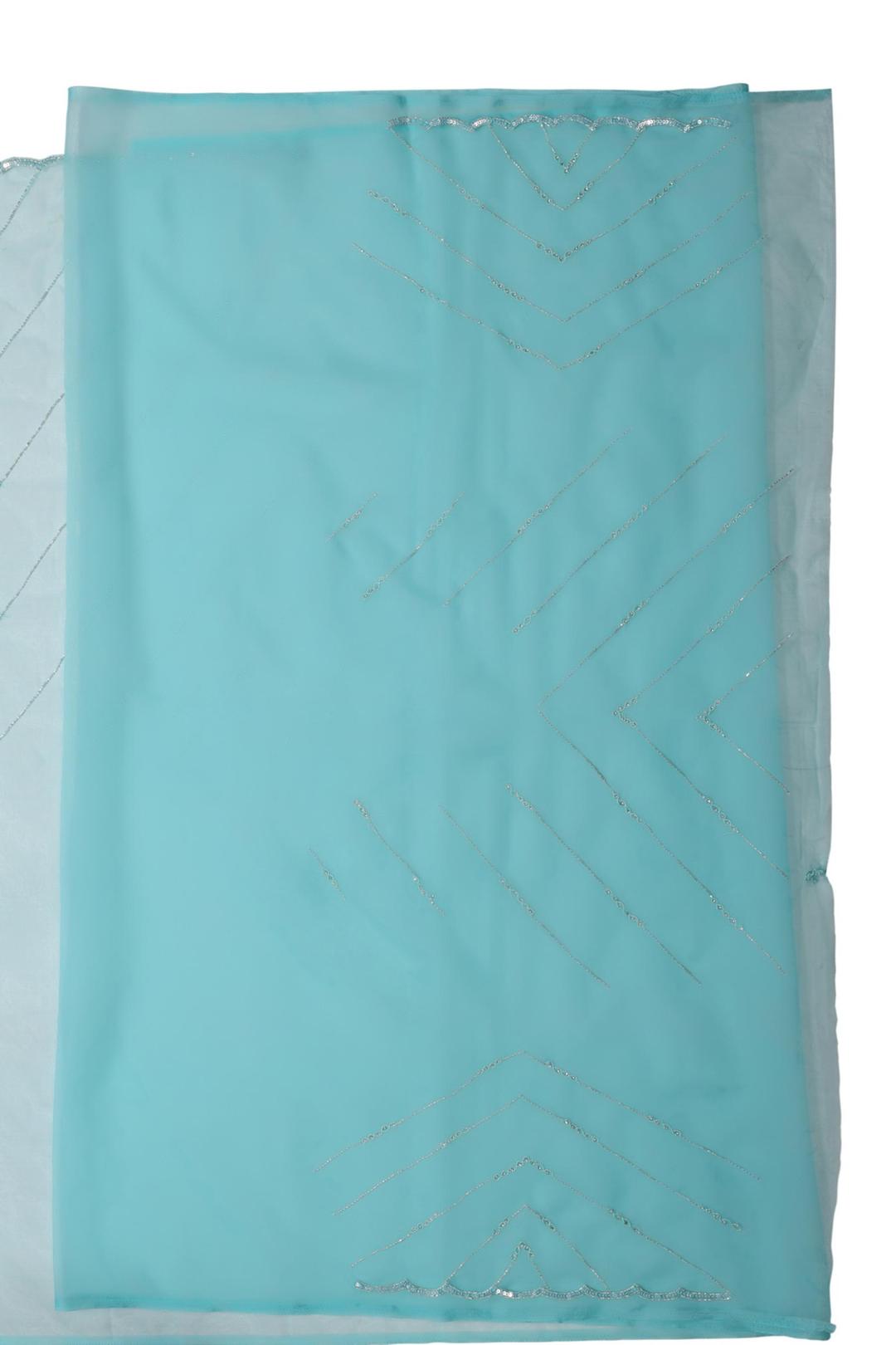 Blue Embroidered Organza Saree F00900B