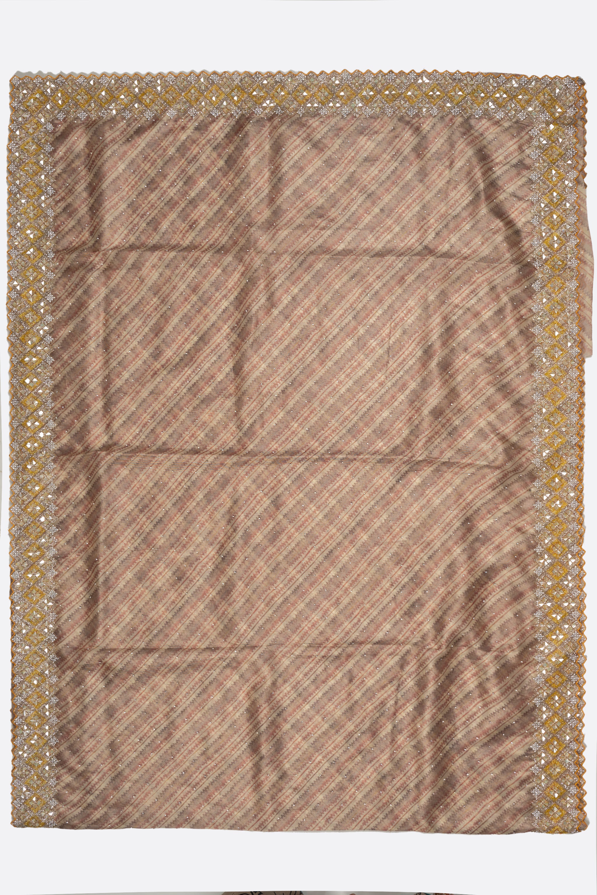 Beige Embellished Organza Saree F01169