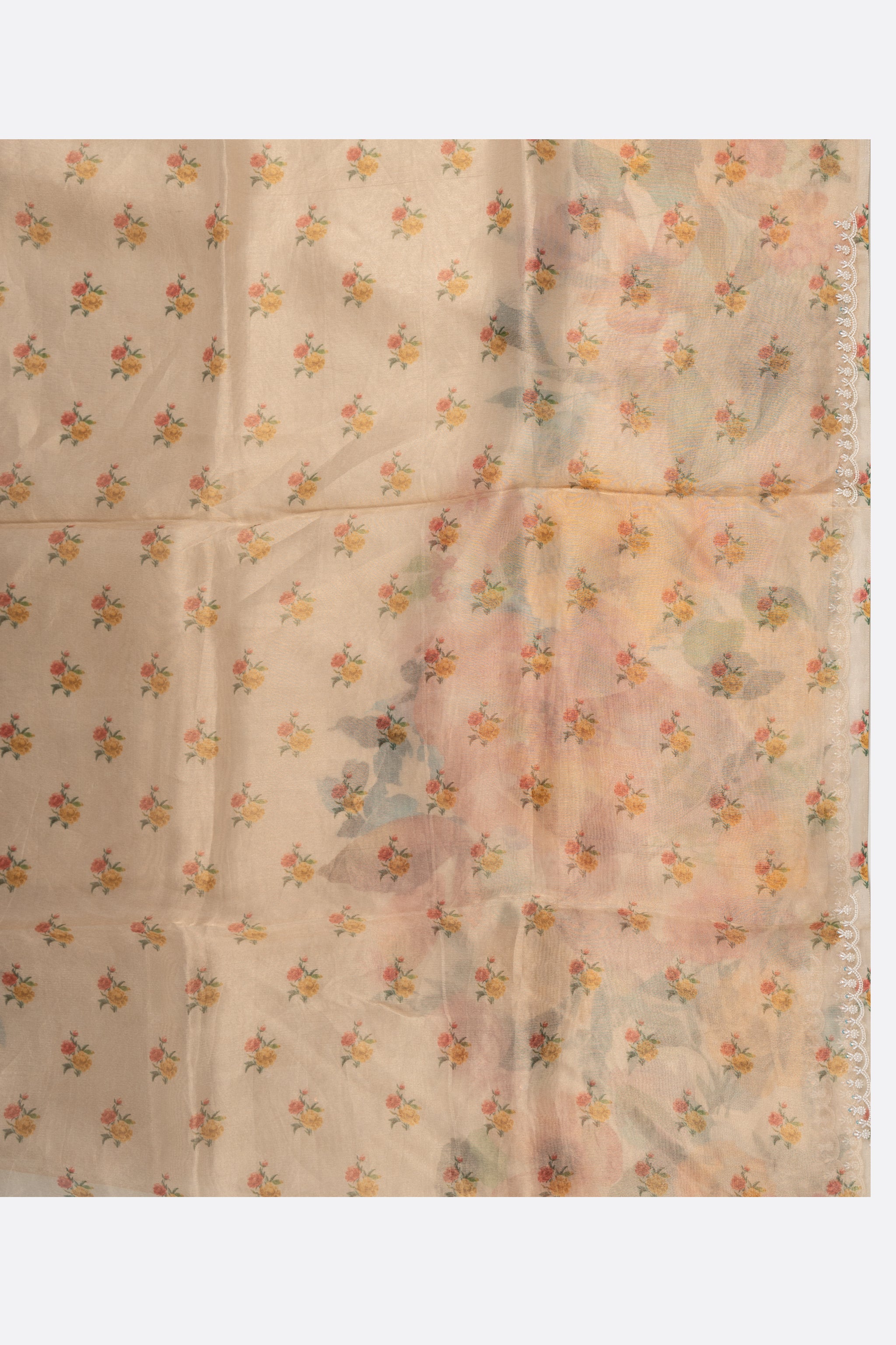 Beige Printed OrganzaTissue Saree F01123