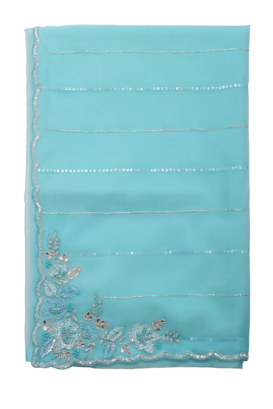 Sky Blue Embroidered Organza Saree F00901C