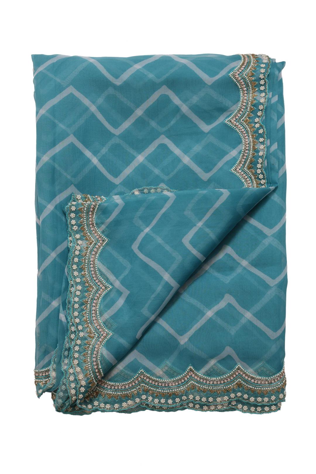 Blue Embroidered And Printed Organza Saree ES0281