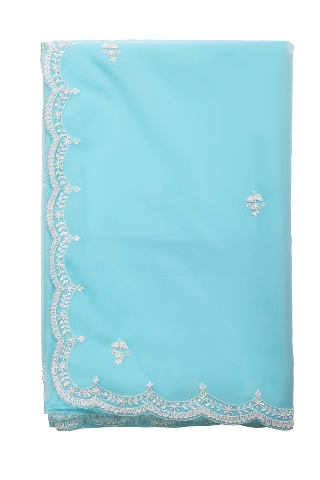 Sky Blue Embroidered Organza Saree F00899A