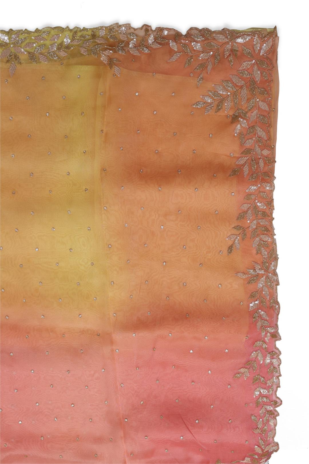 Multicolor Embroidered Organza Saree ES1350B