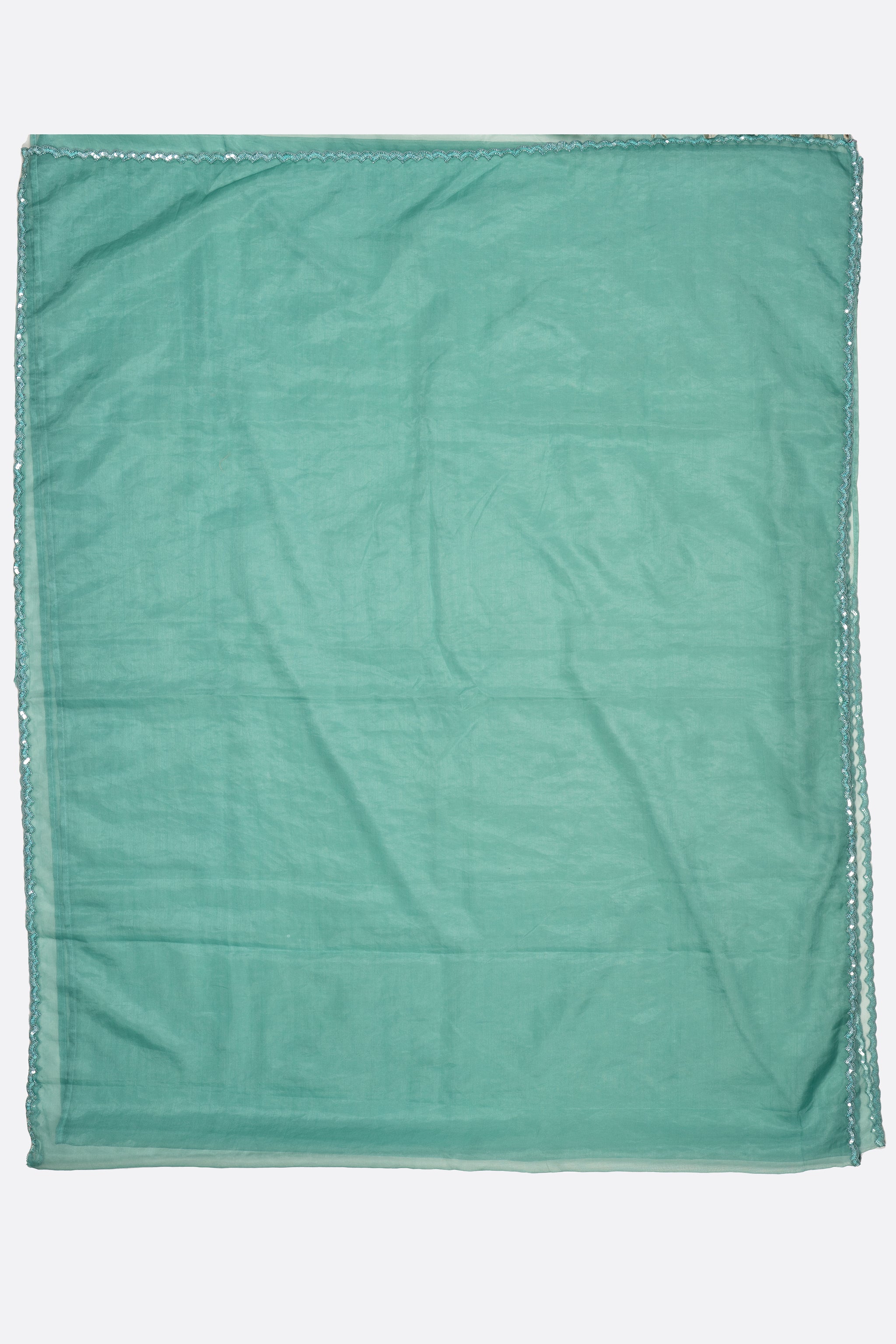 Blue Embroidered Organza Saree F01173